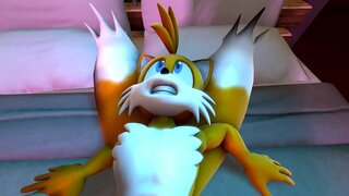 الفانيليا مقابل ذيول